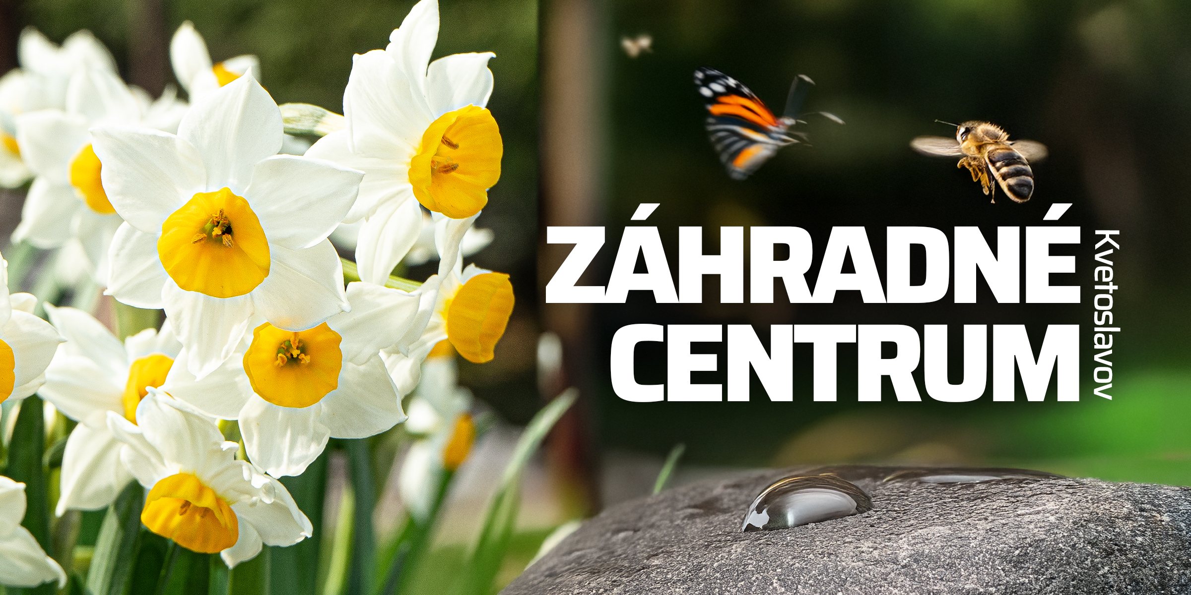 Floracentrum Kvetoslavov — Rodinné záhradné centrum od roku 1993 – hlavný vizuál